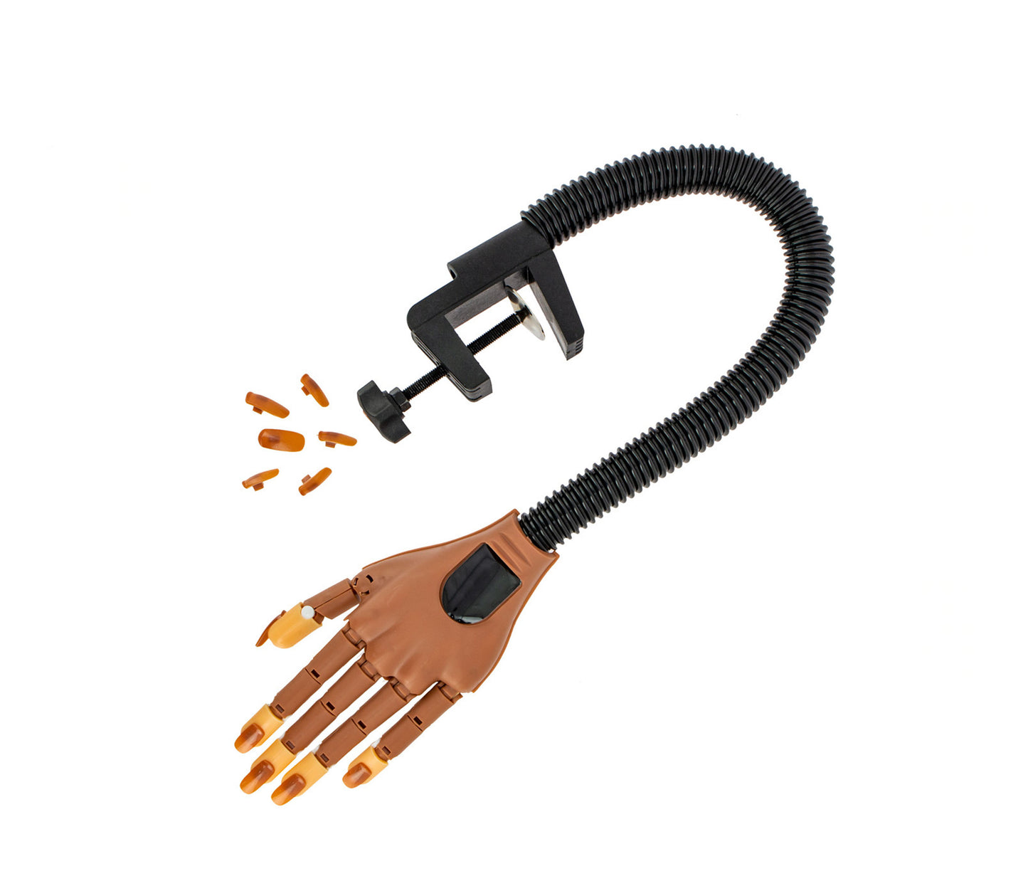 Main d'entrainement articulée